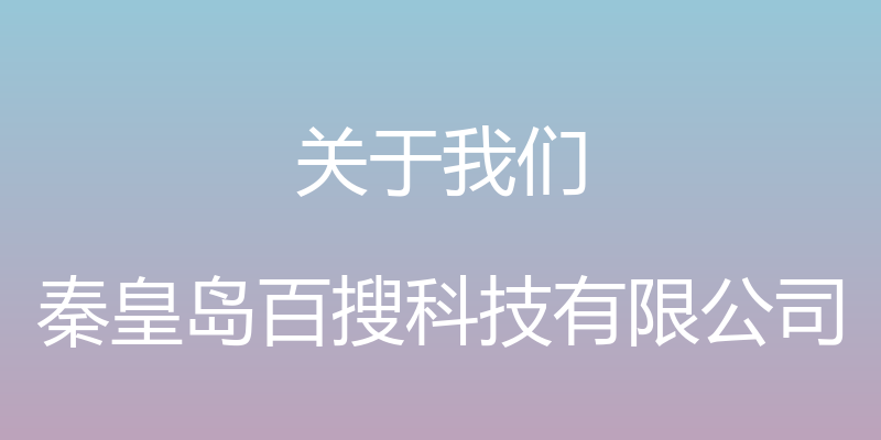 关于我们 - 秦皇岛百搜科技有限公司