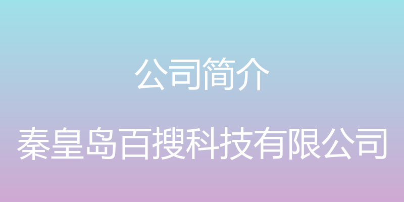 公司简介 - 秦皇岛百搜科技有限公司